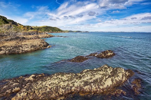 Cornish Coast at Mevagissey