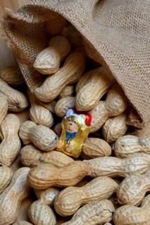 Peanuts and chocolate figure in sack