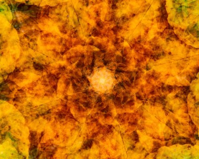 Autumn mosaic