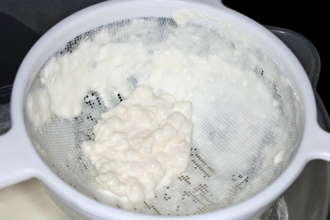 Kefir tubers lie in a plastic sieve after the kefir has been sieved