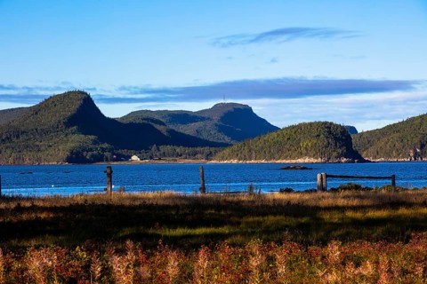 Landscape