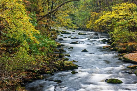 River Bode in the autumnal Harz Mountains