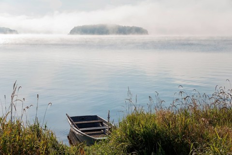 Boat on the shore
