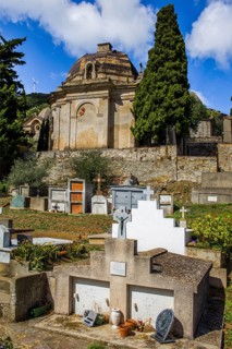 Rogliano on the hillside with several churches and a cemetery with magnificent family tombs