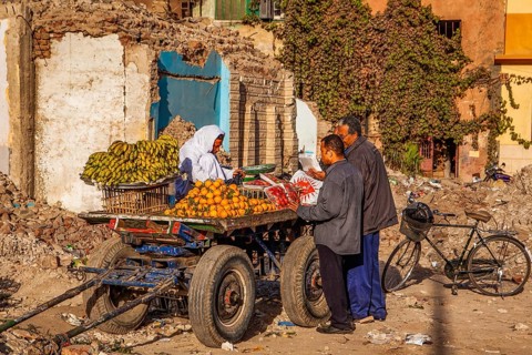 Fruit seller