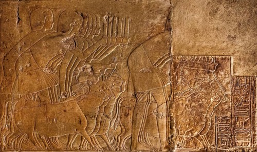 People rounding up cows to present to the Pharaoh afterwards. Next door