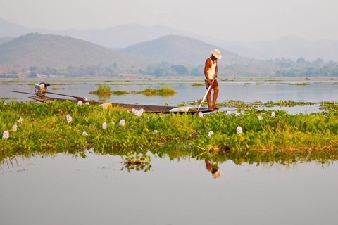 Floating fields