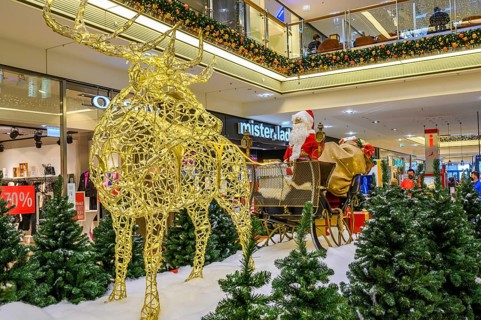 Christmas decorations and Father Christmas in a sleigh with reindeer in Forum Allgaeu