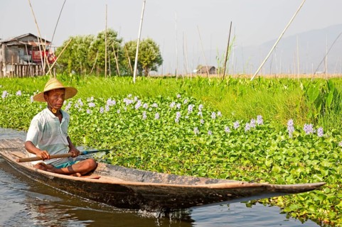 Floating fields