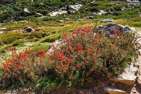 Hiking to the mountain lake Lac de Melo
