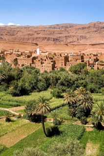 Oasis village with gardens