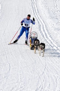 Musher with sled dog team