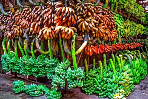 Banana stall