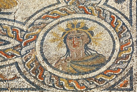 161Mosaic in the dining room of Bacchius