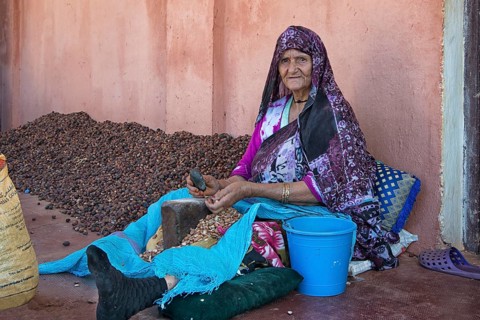 Woman tapping the hard kernels of the argan nut