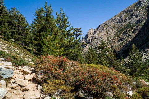 Hiking to the mountain lake Lac de Melo
