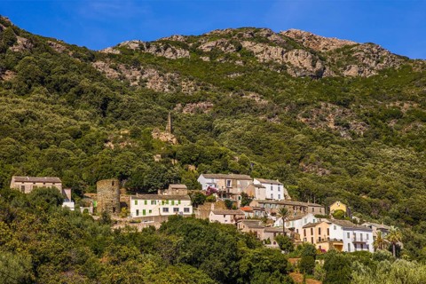 Rogliano on the hillside with Genoese tower
