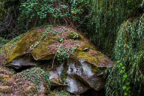Natural rock shelter