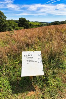 Text panel with the caption Peace in a Meadow
