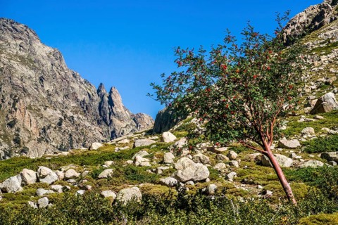 Hiking to the mountain lake Lac de Melo