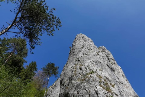 Climbing