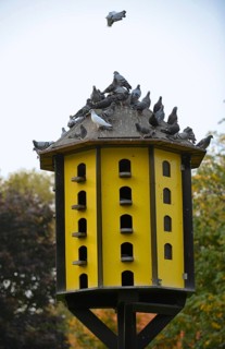Dovecote