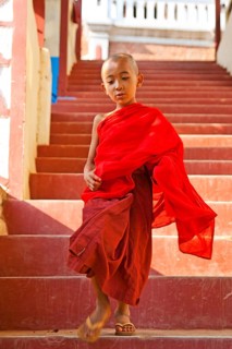 Monk novice