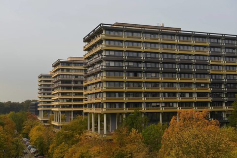 Building row G