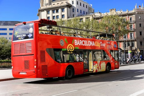 Sightseeing Bus