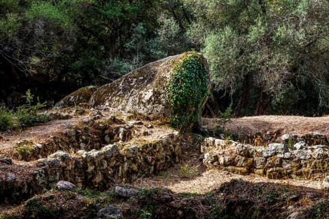 Remains of Bronze Age stone huts