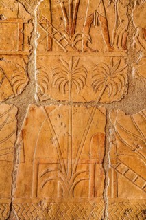 Relief detail of a traditional pile-dwelling hut in Punt