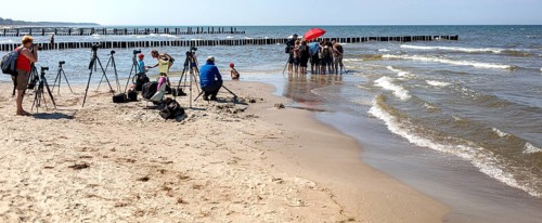 Photo workshop for amateur photographers on the beach of the Baltic Sea