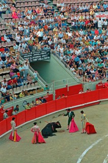 Banderillero ready to stab the bull