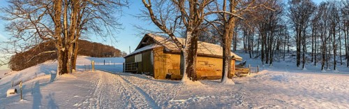 Cattle shed on a pasture in winter