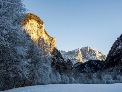 Winter landscape