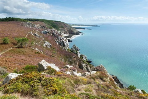 Rocky coast