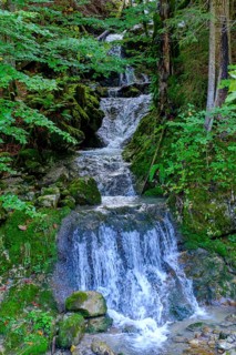 Gassenbach waterfall at the Rosengasse