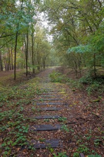Old railway line of the Boetzowbahn