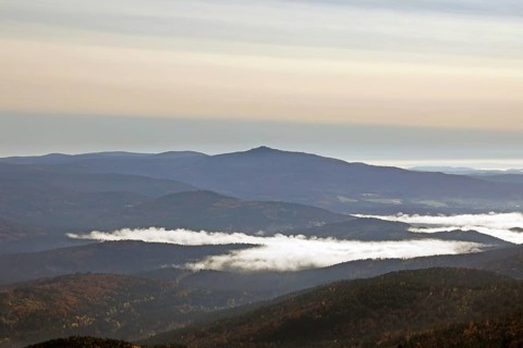 Panoramic view