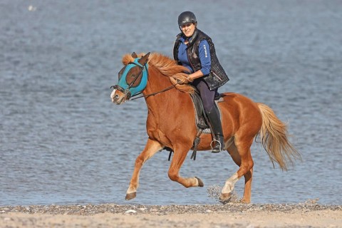 Female rider with Icelandic horse
