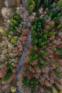 Drone shot