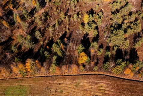 Drone image