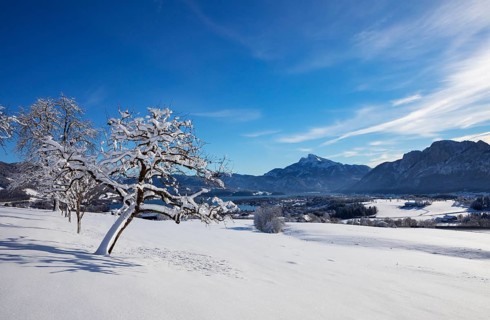 View of snow-covered Mondseeland with Schafberg and Drachenwand