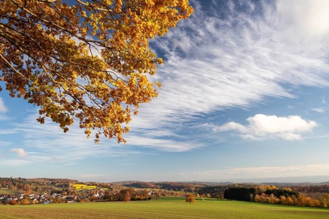 Colourful autumn colours in the forest near Liggeringen