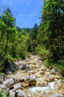 Aschauer creek