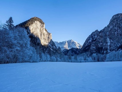 Winter landscape