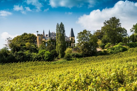 Chateau des Tourillons