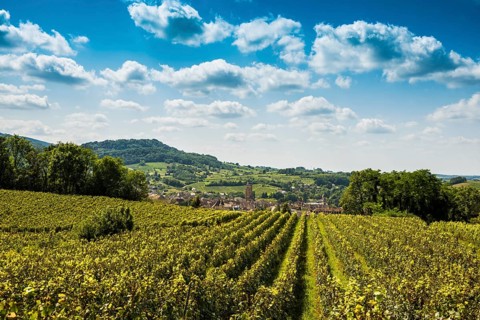 Arbois