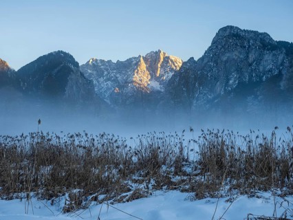 Winter landscape in the fog