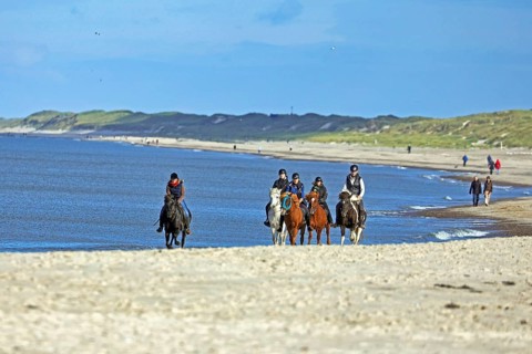 Riders in sand dunes